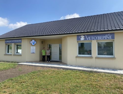 Clinique vétérinaire VETO’BEPINE – Enseigne – Peltre