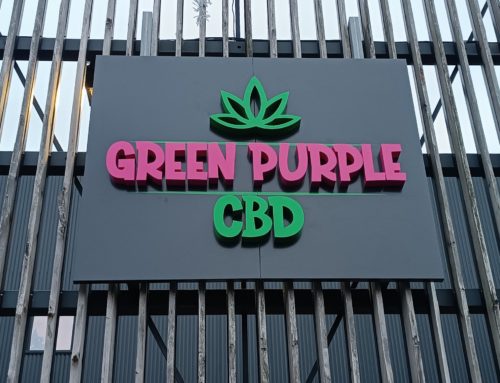 GREEN PURPLE CBD – Enseigne lettres boitiers lumineuses
