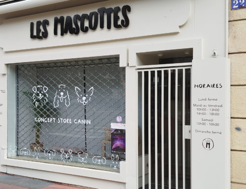 LES MASCOTTES – Enseigne et Décors chiens vitre – Metz