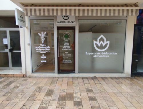 Natur House – Décoration vitrine nutrition et bien-être